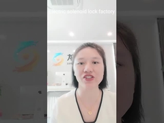 현명한 자기를 띤 전기 솔레노이드 잠금장치 스테인레스 강 SM 연결기